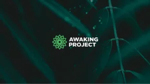 Awaking Project