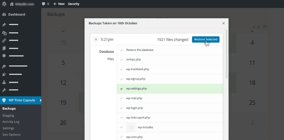Wp time capsule restore