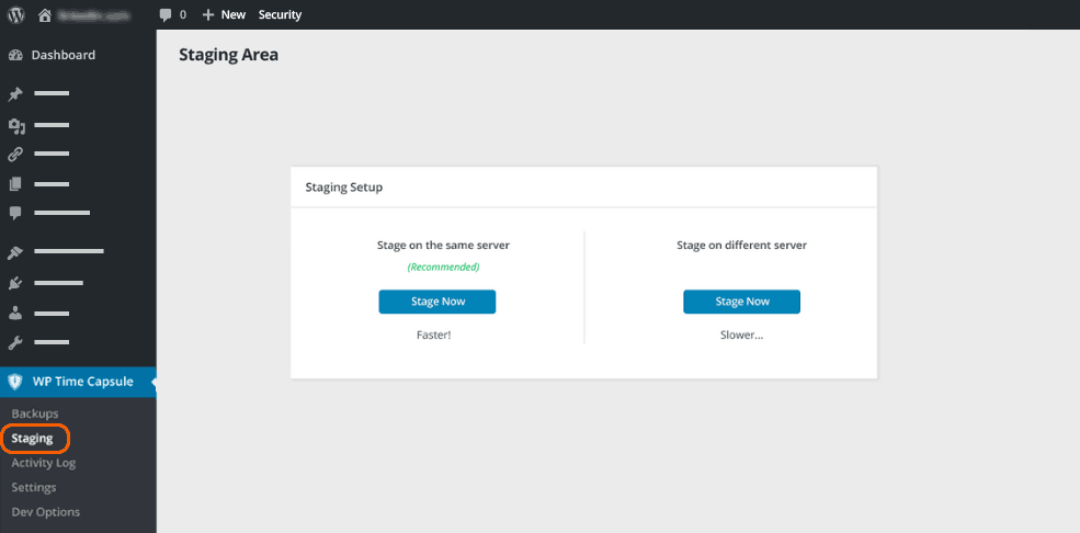 Wp time capsule staging